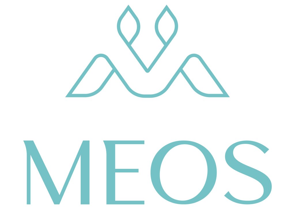 Meos Main Logo Aqua Vitale 2